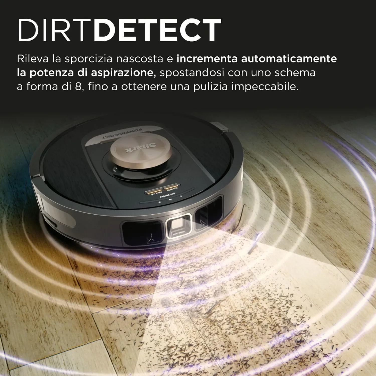 - immagine 3