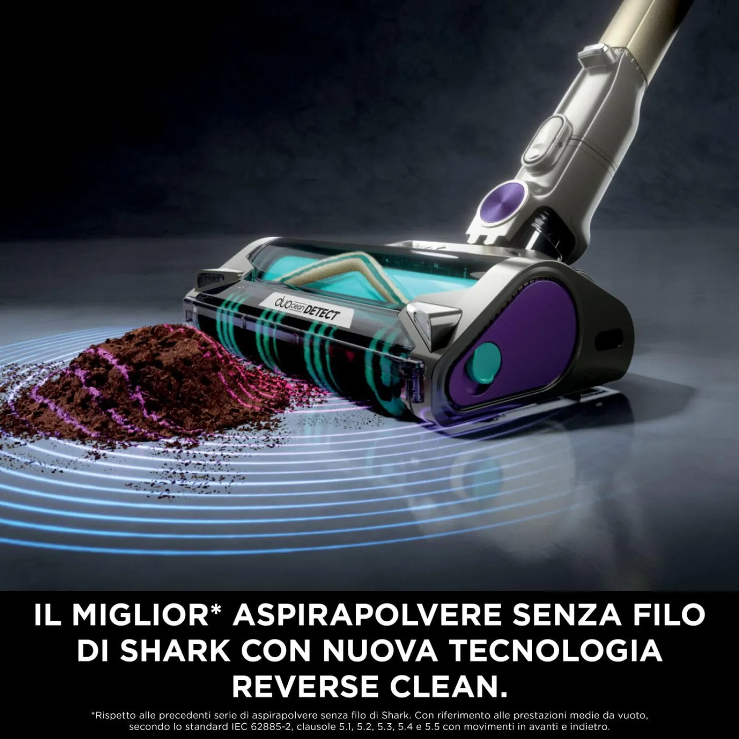 - immagine 2