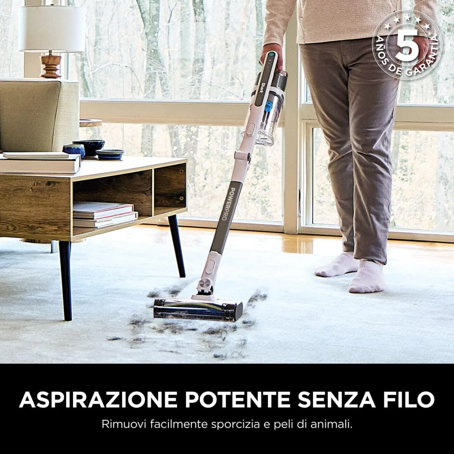 - immagine 2