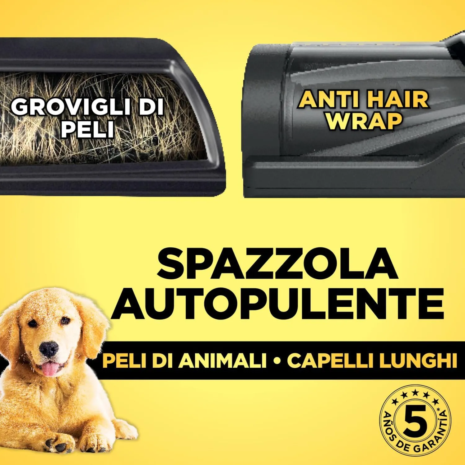 - immagine 4
