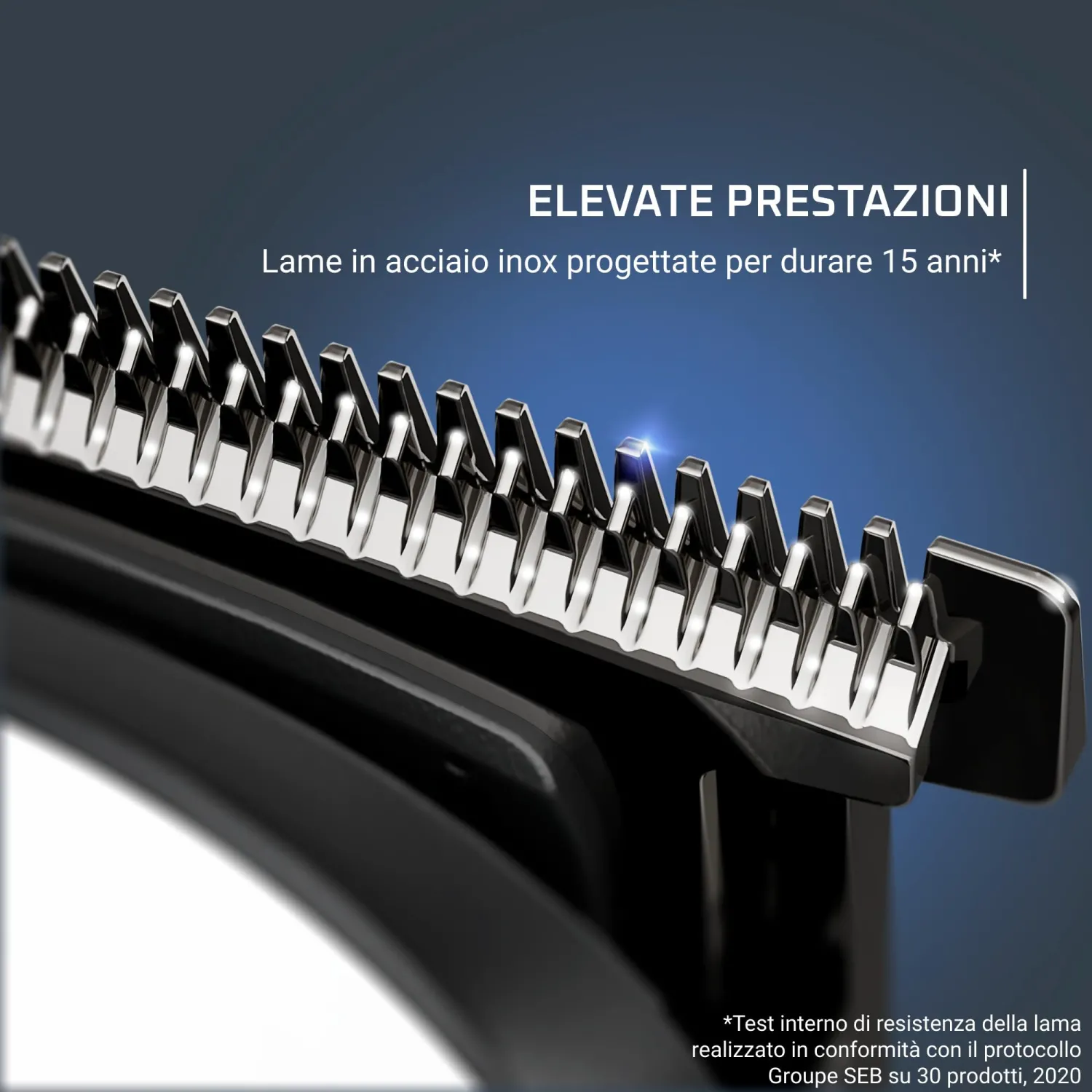 - immagine 2