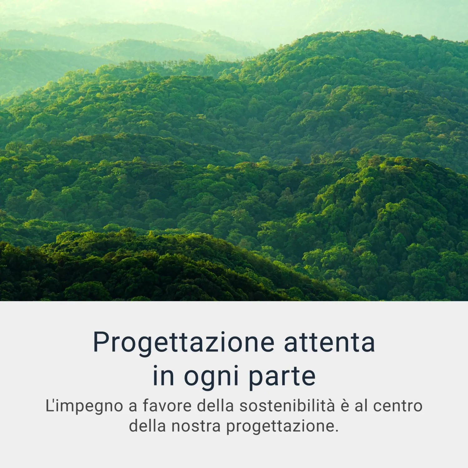- immagine 4