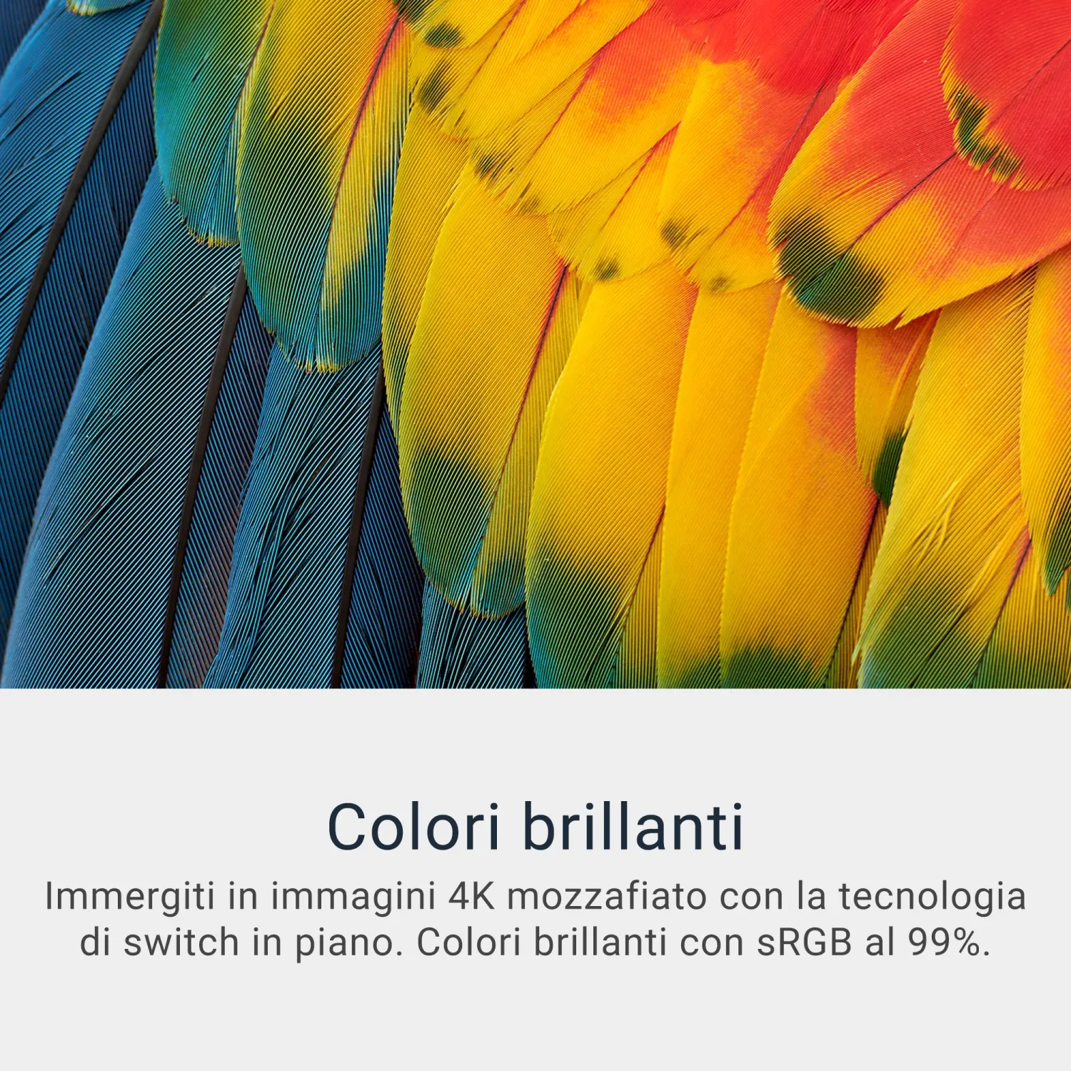 - immagine 5