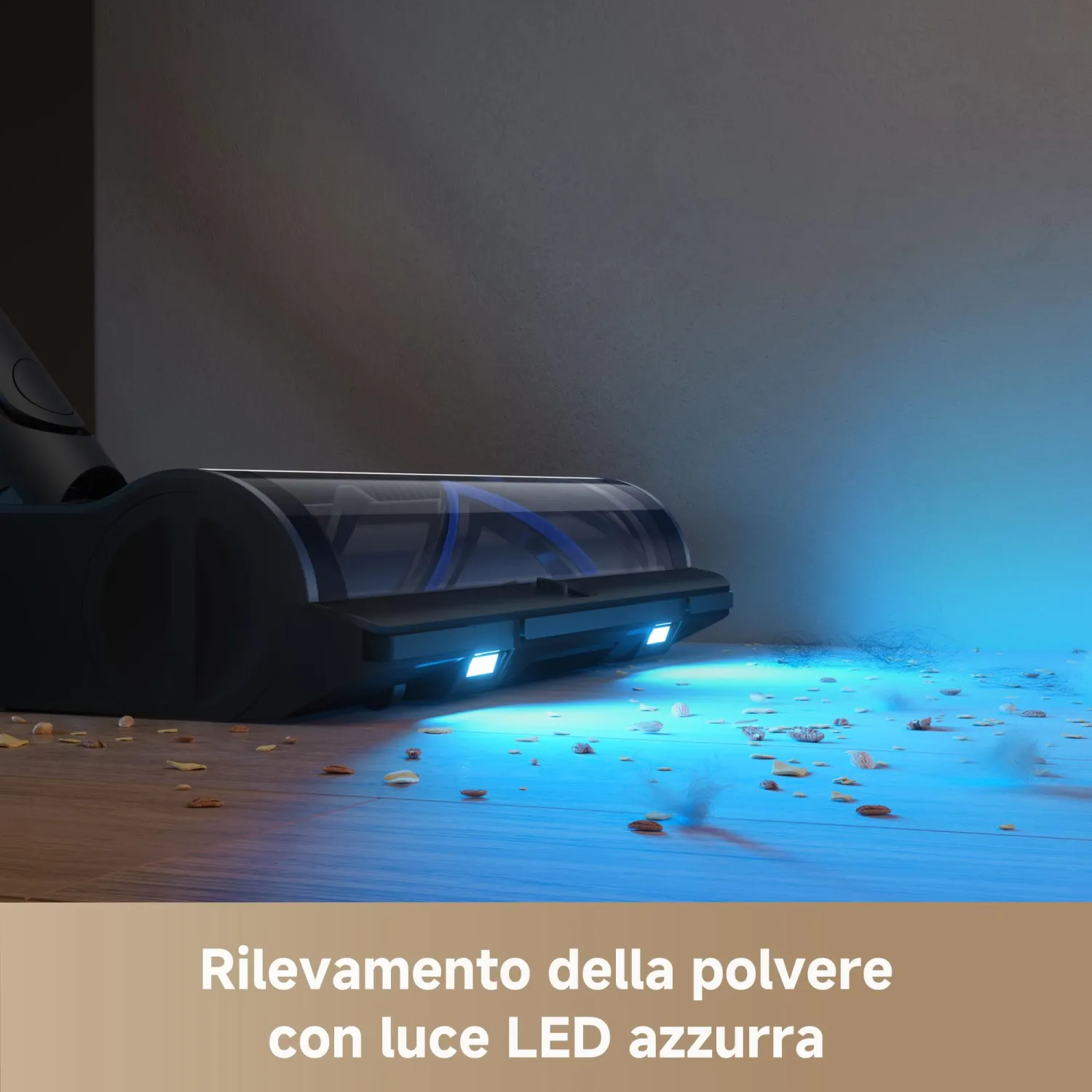 - immagine 5