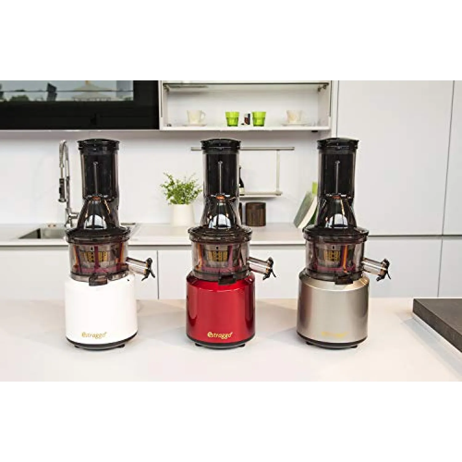Estraggo PRO Estrattore Professionale a Freddo per Frutta e Verdura, Bocca Extralarge, 240W 60 Giri/Min Estrazione Lenta, Pulizia Facile e Silenzioso, Acciaio Temprato e Rettificato, BPA-Free (Argento) - immagine 5